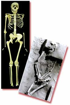 Homo erectus və Aborigen Soldakı Turkana uşağı skeleti. Bu günə qədər tapılmış bütöv Homo erectus nümunəsi. Maraqlı olan