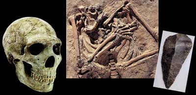 Sağda İsraildə tapılan Homo sapiens neanderthalensis,Amud bir kəllə sümüyü var. Fosilin sahibinin 1,80 m uzunluğunda old