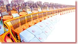 Daxili qulaqdakı ilbiz adlı orqanın daxili səthini örtən tükcüklər. Bu tükcüklər kənardan gələn titrəmələri daxili qulaq