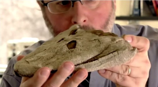 tiktaalik6